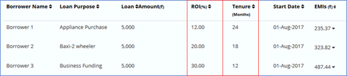 Structure of a multi-loan portfolio with varying ROI and tenure but same loan amount and start dates.  Loan with lowest ROI has the longest tenure